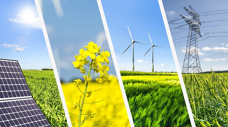 Engitech Ltd delivers advanced sustainable energy solutions through innovative technologies, responsible sourcing, and high-performance systems. Discover how Engitech leads the future of clean energy with unmatched reliability and expertise.